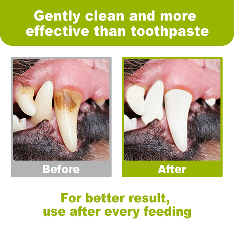 dental wipes for cats