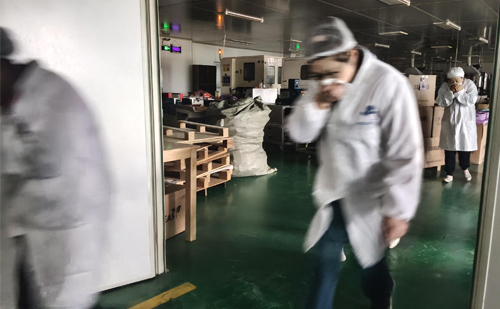 Rafforzamento delle difese di sicurezza per proteggere lo sviluppo aziendale: l'esercitazione antincendio aziendale si è conclusa con successo il 2 dicembre 2025.